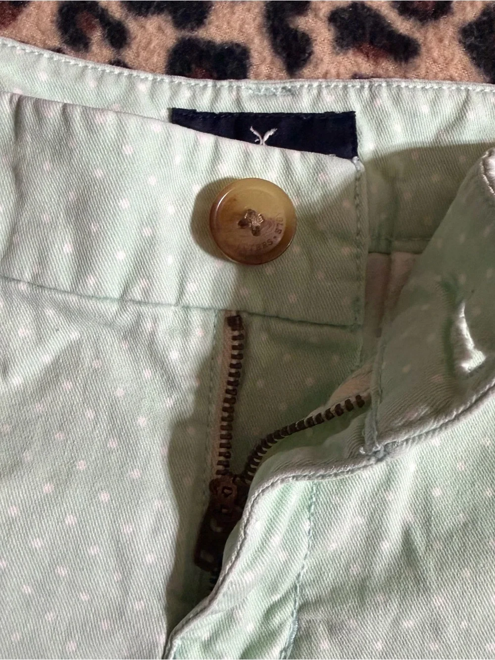 2000s vintage style American Eagle whimsical green polka dot low rise shorts